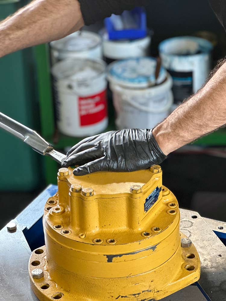 5ripa